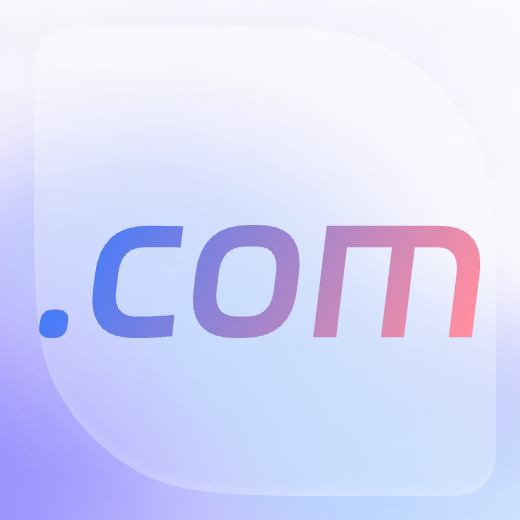 .com 域名