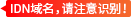 这是idn域名